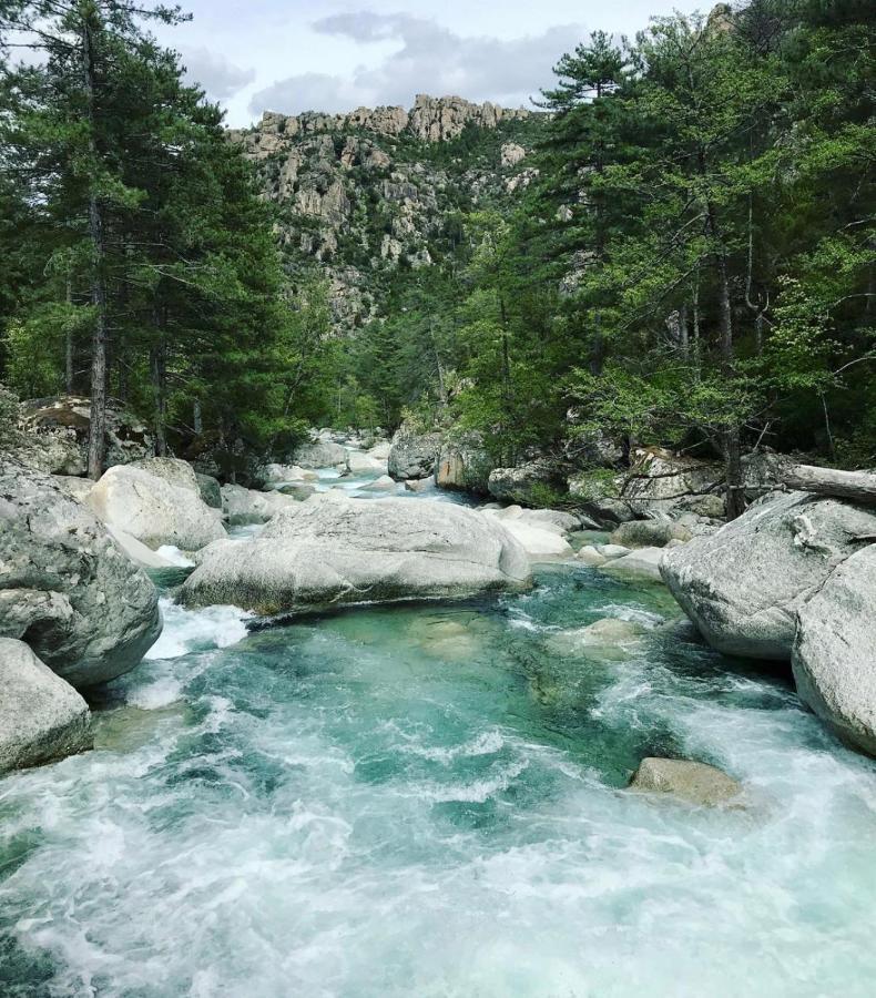 Les Jardins De Saint Pancrace Διαμέρισμα Corte  Εξωτερικό φωτογραφία